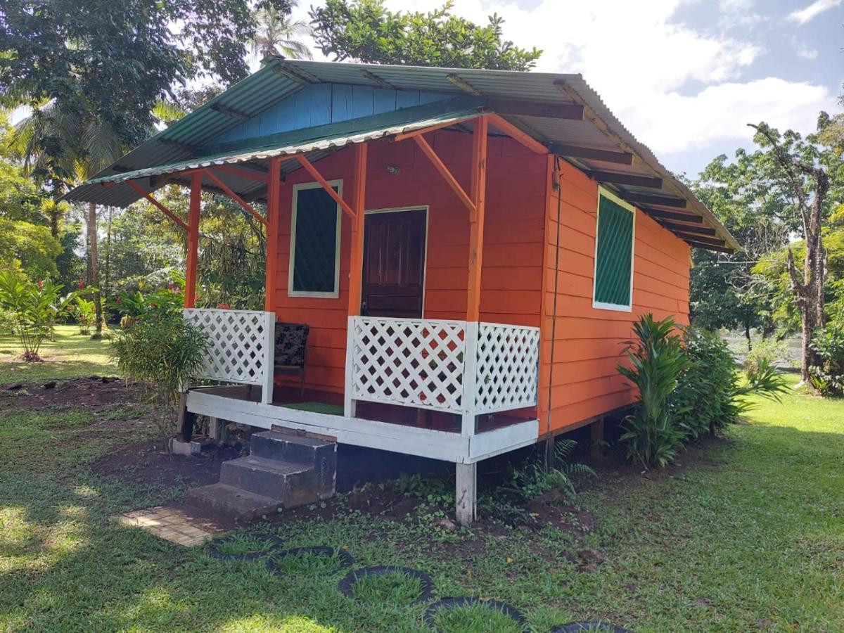 טורטוגוארו All Rankins Eco-Lodge מראה חיצוני תמונה