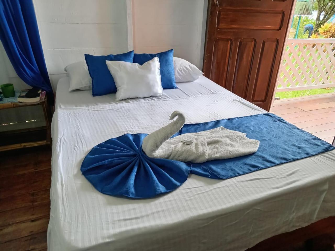 טורטוגוארו All Rankins Eco-Lodge מראה חיצוני תמונה