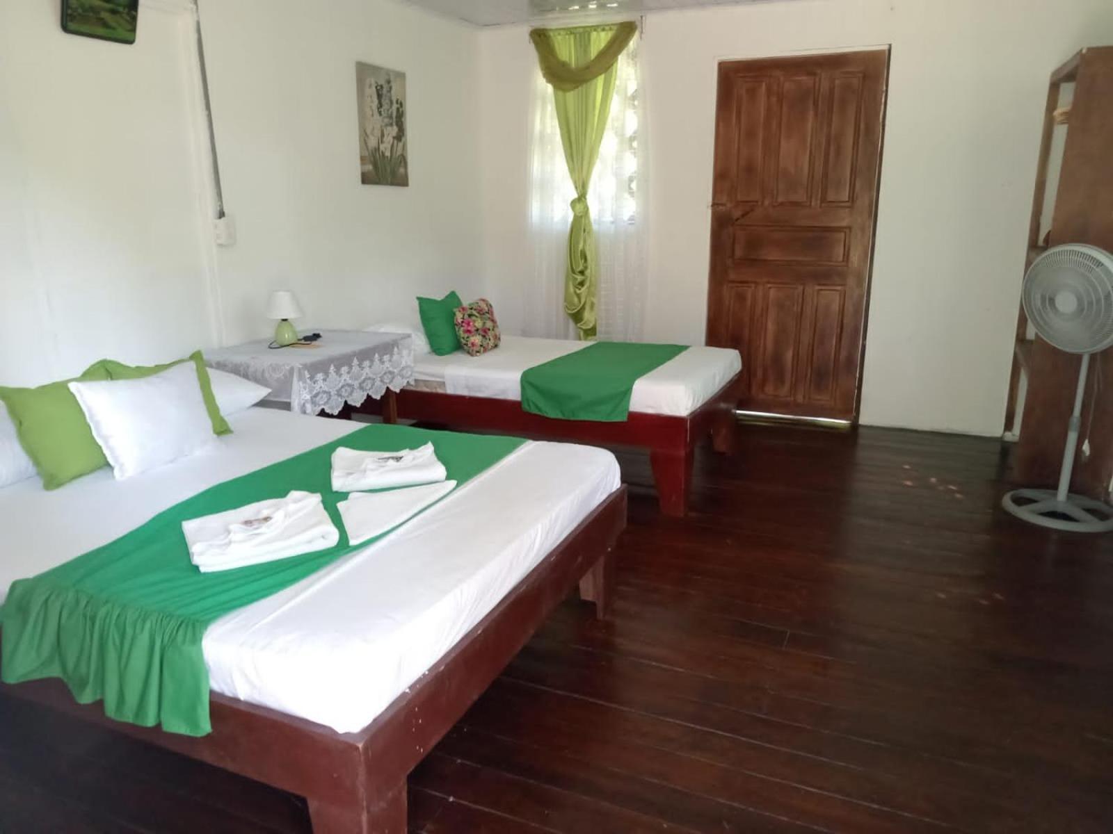 טורטוגוארו All Rankins Eco-Lodge חדר תמונה