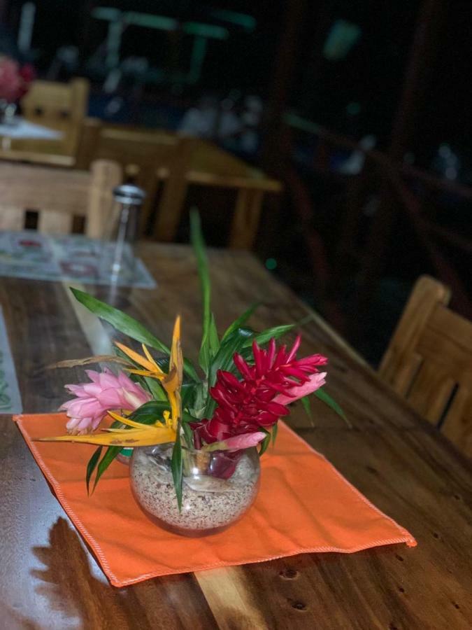 טורטוגוארו All Rankins Eco-Lodge מראה חיצוני תמונה